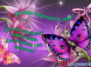 IMG-20160928-WA0019
