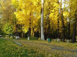 20161001_172548
