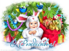 265c36aafea043916b82415c69fd0cd1