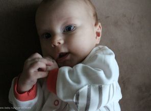 IMG_0510