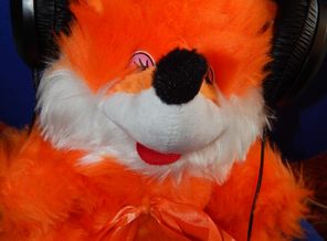 DSCN3201.JPG