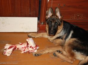 а что это вы мне такое дали?)