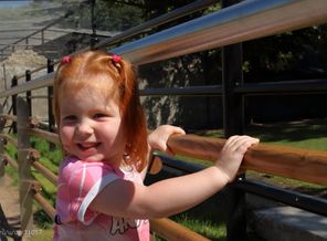 IMG_2015_08_04_0277