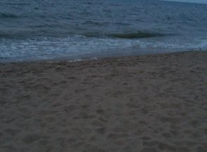 PHOTO_20160803_052435