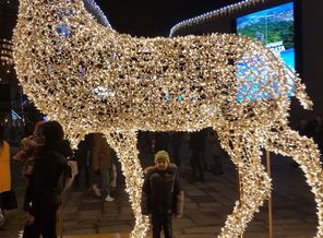 IMG_20161023_200216