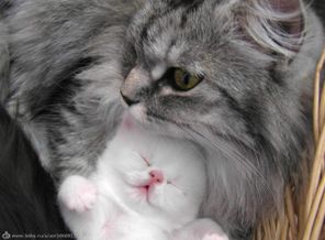 image(7)