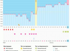 Мой беременный график)