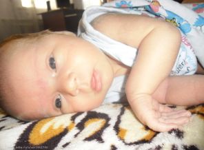 SAM_0786