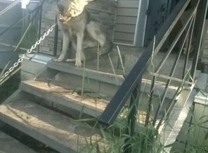 WP_20140710_004