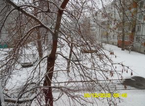SAM_1944