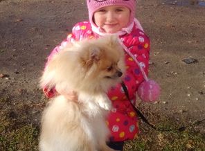 IMG_20161029_143442