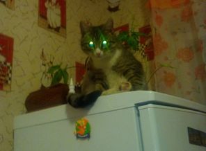 IMG_20160126_231927