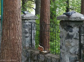 Конкуренция