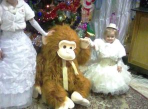 IMG_20151230_145853
