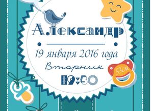 метрика Сашуля