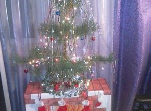CAM01422