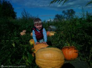 IMG_20161102_130658_4