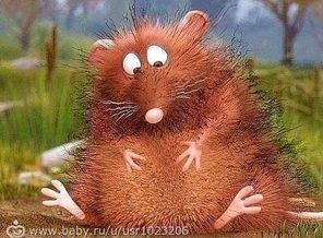Сидишь, сложа руки на пузике, и ждёшь чуда. А чуда всё нет и нет. Зато есть пузико.)))