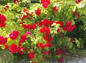 IMG_20160616_155628