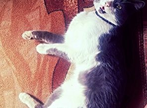 CYMERA_20140718_121022