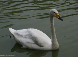 IMG_5557