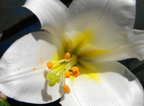 DSCN3672