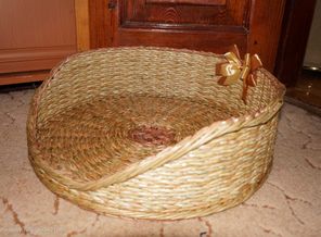 DSC02503
