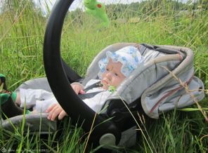 О вечном