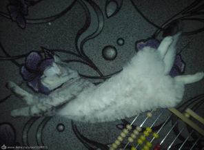 20150614_001931