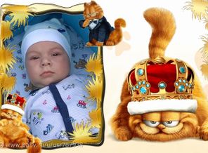CreativePhoto_635728134141746991
