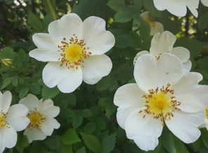 20160527_112440