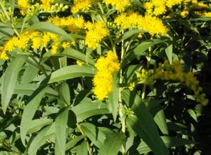 IMG_20160809_160204