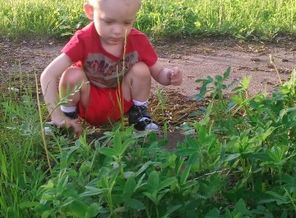 IMG_20160525_110301