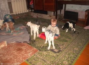 SAM_1192