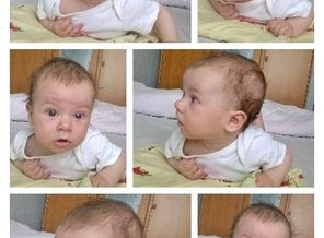 CollageNokiaImageSDK_05323a63-9814-4a30-9a98-71f465d34c83