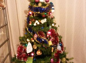 20151225_182042