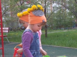 одуванчики 2016