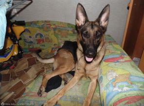 DSC00811