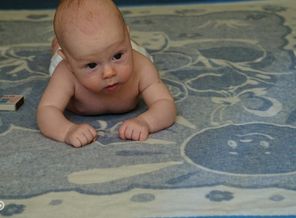 image-0015ce897d400ab35d723649bfd54652f34514fc8b544cfbf99794b9afc795ee-V