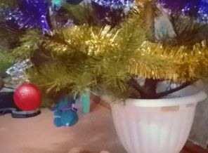 CYMERA_20151220_233430