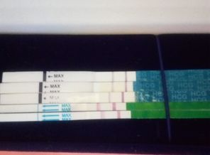 1460732423152365783810