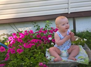 WP_20160809_16_49_36_Pro.jpg