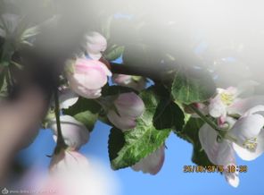 IMG_0043