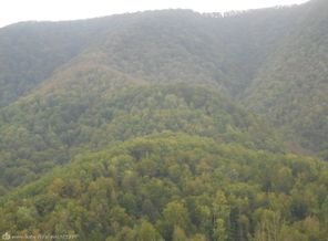 DSCN0222