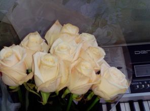 IMG_20150126_130135