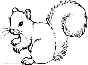 Белка