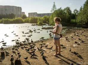 Утиное болото. Август 2016