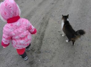 IMG_20161123_130949
