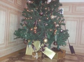 20141202_120620