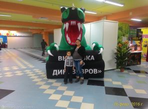 2016-02-06 12-34-56_1460283511